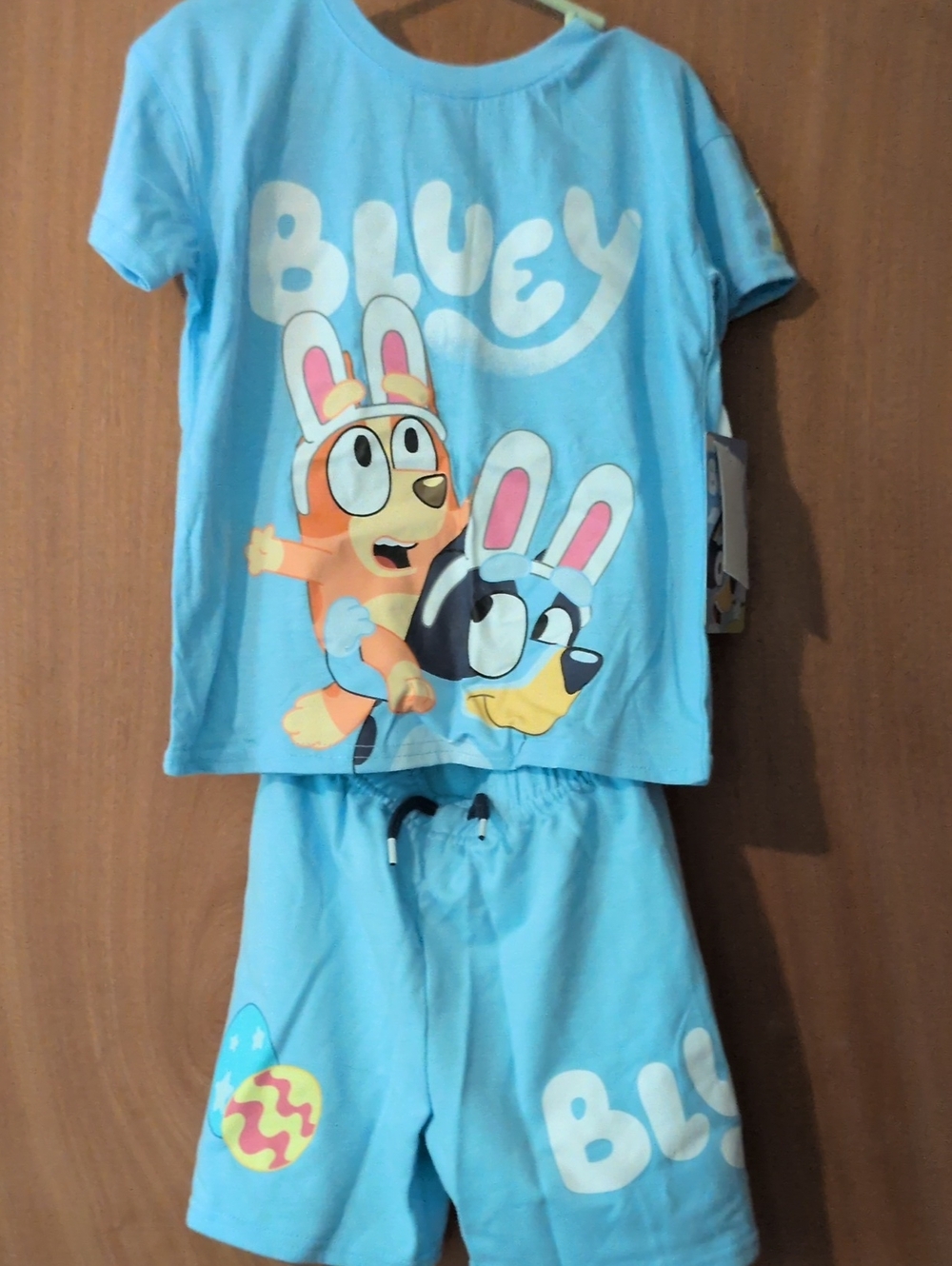 4T Bluey Short Set